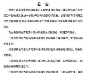 开云-海牛：张冬任副董主持俱乐部工作 殷铁生担任副总