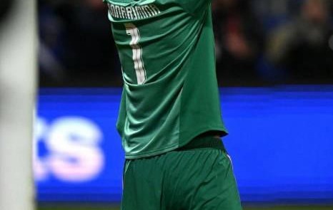 开云官网-多纳鲁马：昨晚赛后我哭了，因为我没能带意大利达到应有高度